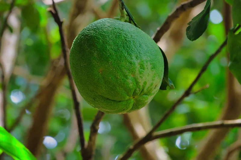 Rencontre habitants Kep authenticité