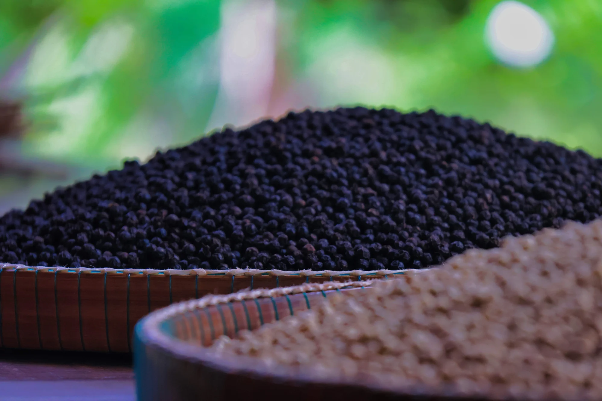 Viewpoint over the valley at Sothy's Pepper Farm